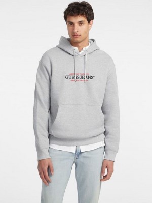 Guess American Tradition Hoodie Gri | GUESS-SN31487