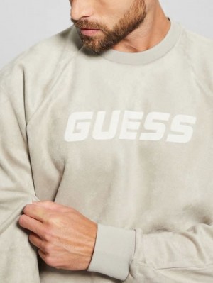 Guess Eco Daril Crewneck Sweatshirt Bej | GUESS-SN31035