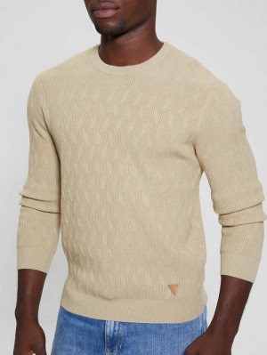 Guess Eco Delroy Stitched Sweater Bej | GUESS-SN31068