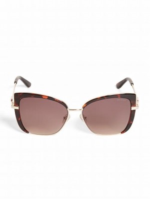 Guess Tinted Cat-Eye Sunglasses Maro | GUESS-SN30079