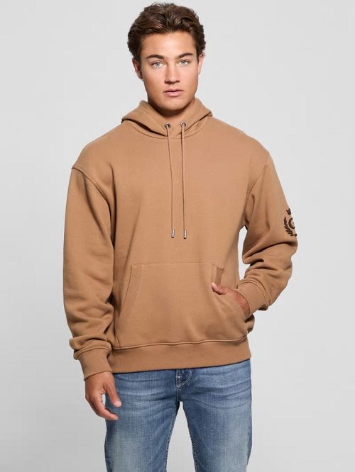 Guess Chenille Logo Hoodie Bej | GUESS-SN31070